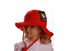 51-55, 311���.