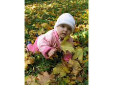 ����... ��������� ������