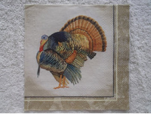 �� ���������