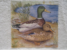 �� ���������