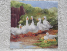 �� ���������