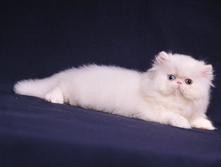 DSC_5469.jpg