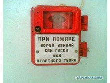 WGBR1bqXrB4.jpg