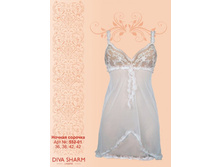 1300 �. �������