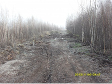 SDC10352.JPG
