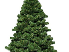 0118_1617 ���.jpg