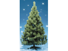 ��-150_1104 ���.gif