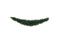 XTT219_567,6 ���