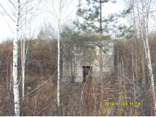 SDC10387.JPG