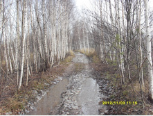 SDC10388.JPG