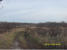 SDC10392.JPG