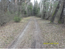 SDC10405.JPG