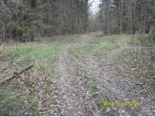 SDC10407.JPG