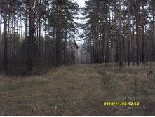 SDC10414.JPG