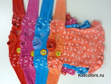 ������ �.���. ����� plt011.jpg