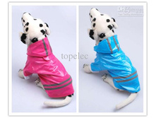 ������� ���� � ���������.jpg