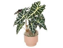 �������� ����� 45/12. 120���.