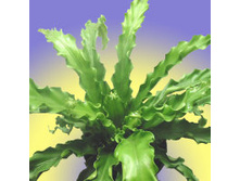 ��������� �����. 30 130���.