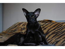 ��������������