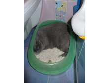 ����� �������)))