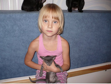 ��������� � �����