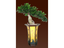 ������. ����� �������.