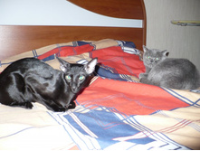 ������ ������ �������, ����� ��� ����� ����� � �� ��������..