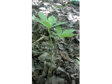 10062012346.jpg
