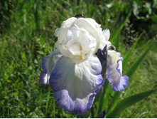 ���� ����-������� �� 100 �