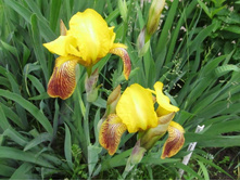 ��. ���������� ����