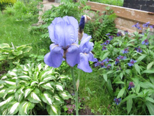 ���� ������� ������������, �� 50 �.