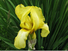 ���� ������ ������������, �� 50 �.