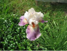 ���� ����-����������.�� 100 �.