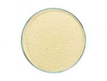 �������� Yellow.jpg