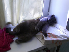 ���������������