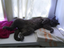 ��������������