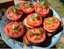 ���������� � �����������