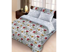 �� 2016 4153-1+4154-1.jpg