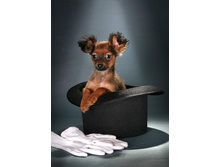 ���� ������ � ������� :)