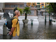 ������..