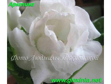 ��������� /13 250 ���.