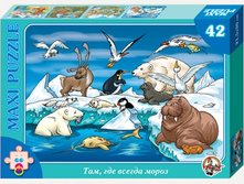 00212 ����� 42 �� (maxi) ��� ��� ������ ����� 72,0