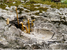 ��������� ����� � ����� ��. �������� ������ ��������