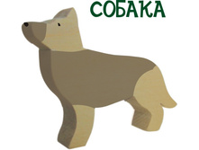 ������ 150�. 205�160