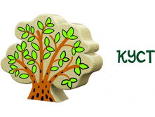 ���� 150�. 205�160