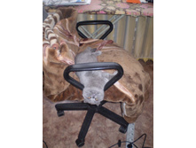 �������