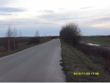 SDC10421.JPG