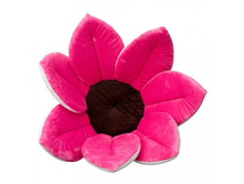 ��������-������, ���� �������.jpg