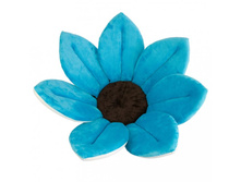 ��������-������, ���� �������.jpg