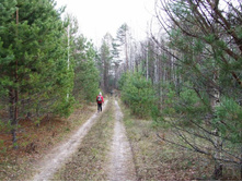 DSCF1177.JPG